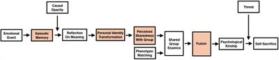 Exploring the Pathways Between Transformative Group Experiences and Identity Fusion